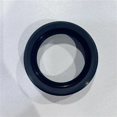 Phốt trục truyền động điện công nghiệp